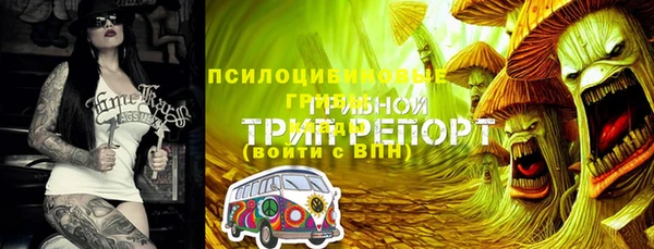мяу мяу мука Алзамай